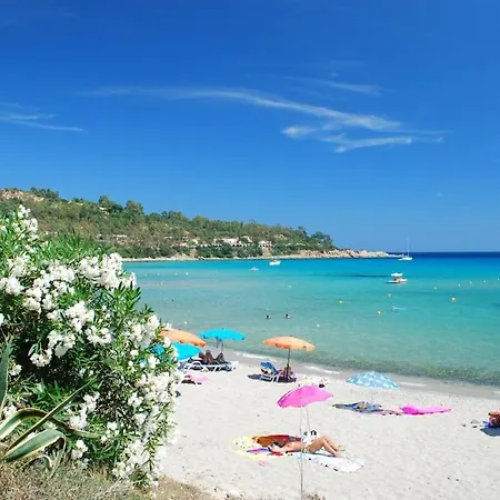 Tramonto D'oro Tatil Evi *