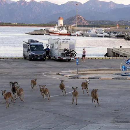 Tramonto D'oro * Àrbatax